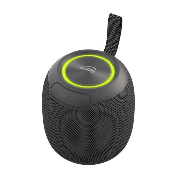 Parlante Negro portatil 16w